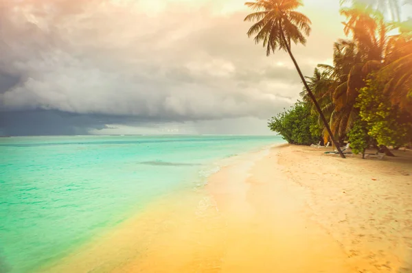 Costa tropical en las Maldivas, con un cielo nublado y palmeras a lo largo del borde de la playa . — Foto de Stock