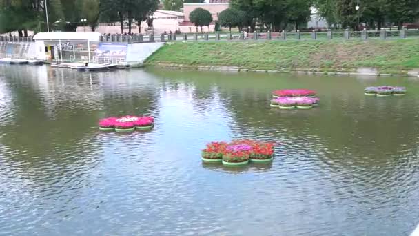 Bloemen in de vazen op het water. — Stockvideo