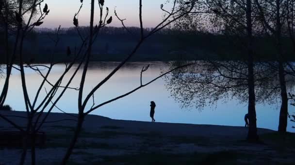 Flicka nära sjön. — Stockvideo