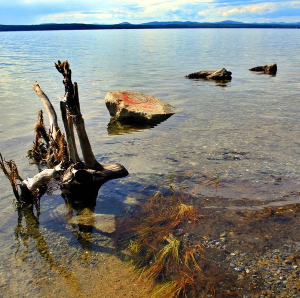 Niektóre skały i driftwood na brzegu jeziora — Zdjęcie stockowe