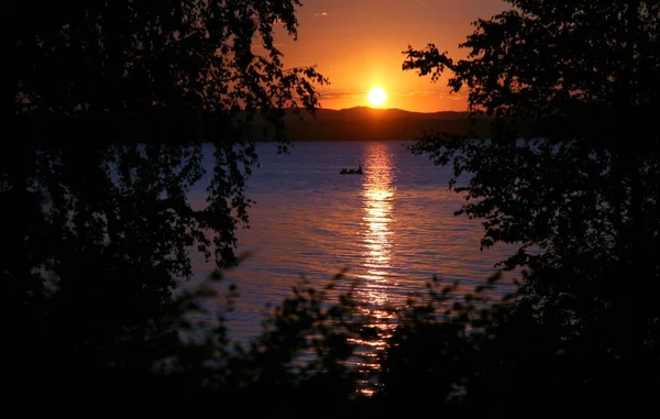 Oscuras siluetas borrosas de árboles contra la puesta de sol de fondo en el lago — Foto de Stock