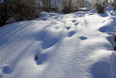 taze kar güneş mavi gölgelerin içinden ayak izleri ile karşı