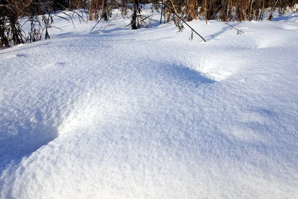 Fresh snow against sun with blue shadows from the footprints — Stock Photo, Image