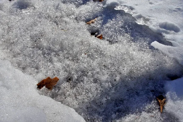 Dirty melting snow closeup — Stock Photo, Image