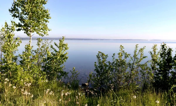 Orilla arbolada del lago —  Fotos de Stock