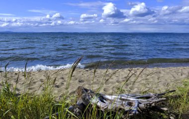 Gölde eski ahşap güdük