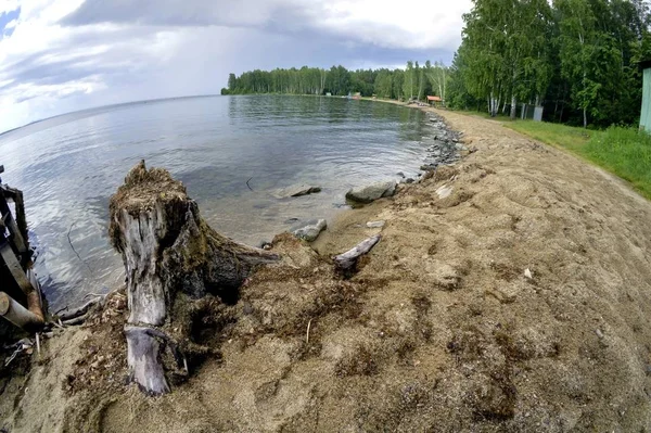 Oude houten stomp op het meer — Stockfoto