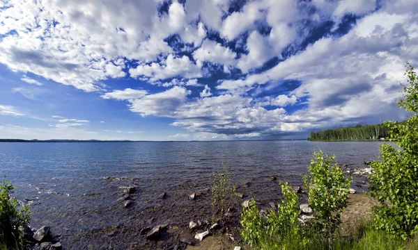 Bright blue sky with white clouds over the shore of the lake — Stock Photo, Image