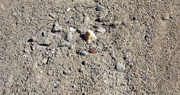 kum göl kenarında güneşin doğrudan ışınları altında doku