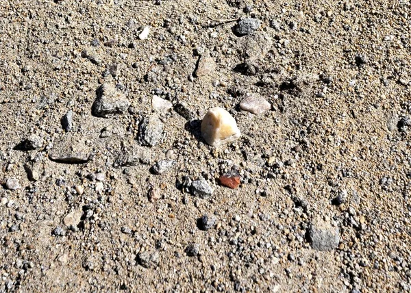 kum göl kenarında güneşin doğrudan ışınları altında doku