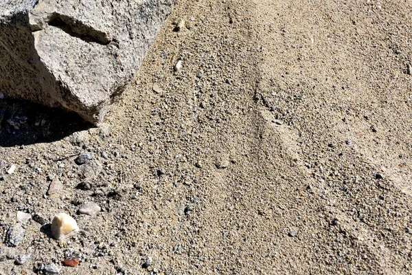 kum göl kenarında güneşin doğrudan ışınları altında doku