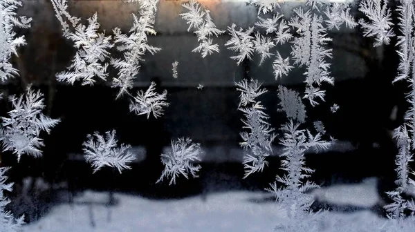 Frost patterns on glass — Stock Photo, Image