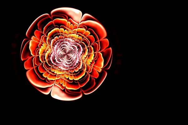 추상적 인 프랙탈 컴퓨터로 만들어 진 화려 한 빨강 과 검정 색 꽃잎 과 노란색 가운데있는 꽃의 이미지 — 스톡 사진