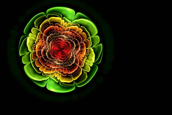 Resumo imagem fractal gerada por computador de uma flor com pétalas coloridas e — Fotografia de Stock
