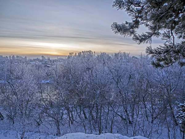 Вечерний зимний пейзаж за городом, деревья, покрытые морозом — стоковое фото