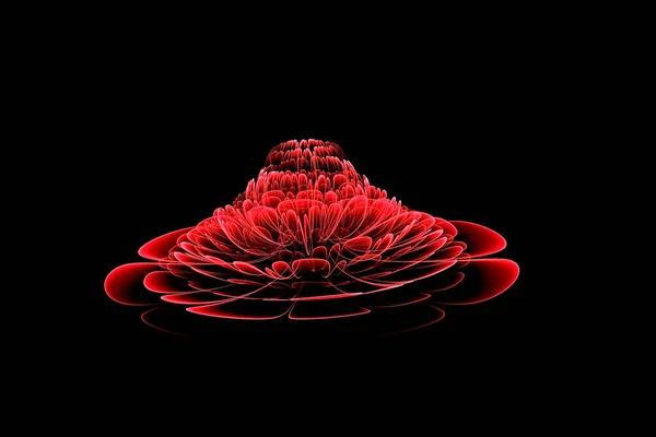 Streszczenie fraktalnych komputerowo generowanych świecących czerwonych kwiatów 3D. Wielokolorowe malowanie fraktalne na czarnym tle — Zdjęcie stockowe