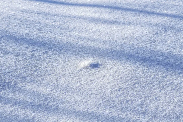 Matin neige intacte avec des ombres du soleil bas par un matin givré — Photo