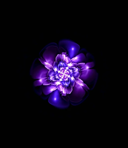 Resumo Imagem Fractal Computador Uma Flor Com Padrões Roxos Pretos — Fotografia de Stock
