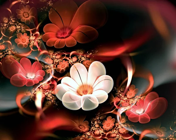 Abstraktní fraktální 3D květy na tmavém pozadí. Mnohobarevný fraktální obraz — Stock fotografie