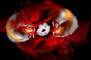 Karanlık bir arka planda soyut fraktal 3D çiçekler. Çok renkli fraktal resim