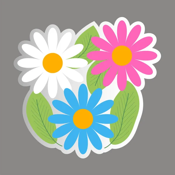 Chamomile - flowers, leaves. Vector sticker — Stock Vector