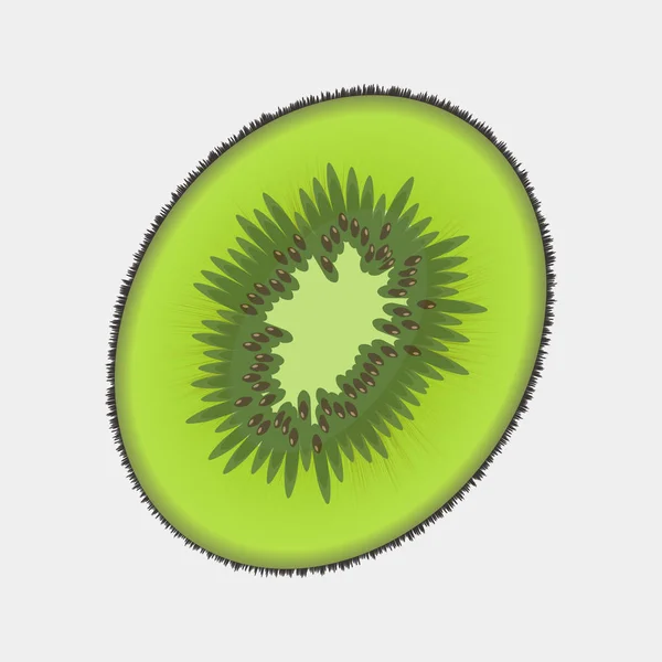 Vector image of kiwi fruit. Icon of tropical exotic fruit kiwi — Stock Vector