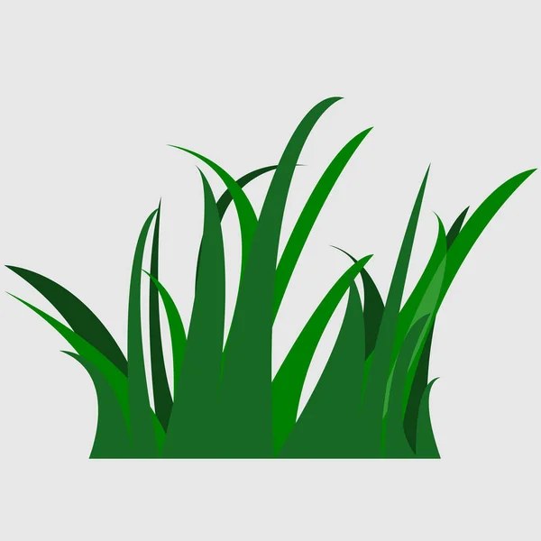 Imagen vectorial de hierba. Icono de hierba sobre fondo blanco — Archivo Imágenes Vectoriales