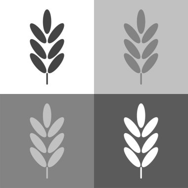 Vektör ayarla simgesini kulakları buğday, Mısır gevreği. Yulaf kulak. Çavdar kulaklara 