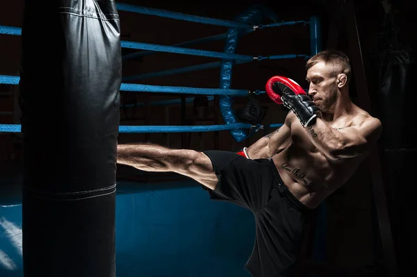 Kickboxer kicks the bag. Training a professional athlete. The concept of mma, wrestling, muay thai. Mixed media