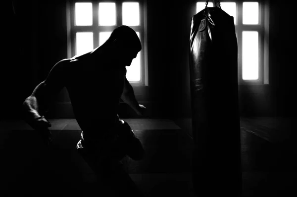 Shadow Boxing. Black Silhouette on a White Background, Sports