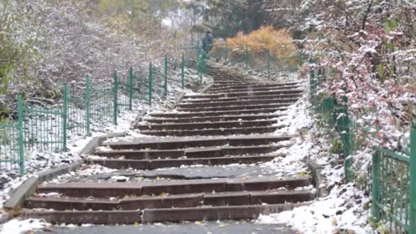 Início do inverno no parque, neve no jardim botânico — Vídeo de Stock