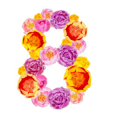 Beyaz backgr izole Lale tomurcukları yapılan 8 numaralı Üstten Görünüm