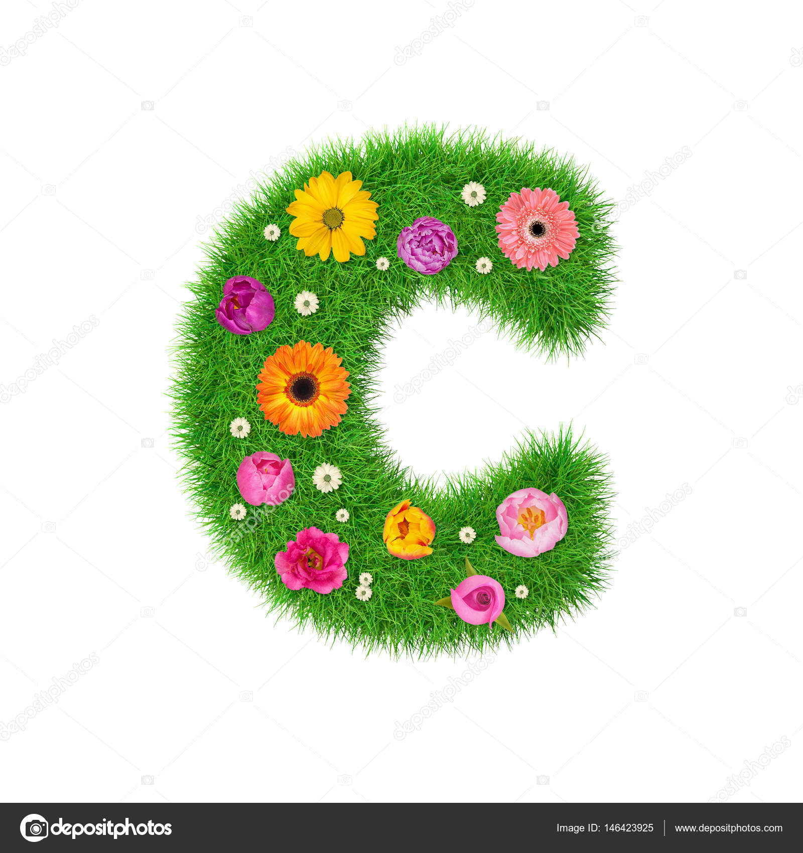 Lettera C fatta di erba e fiori variopinti concetto di primavera per il collage di disegno grafico — Foto di riakhinstock