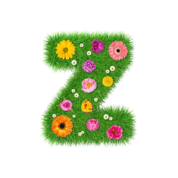 Letter Z made of grass and colorful flowers — Stock Photo, Image