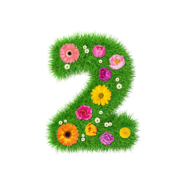 Number 2 made of grass and colorful flowers — Stock Photo, Image