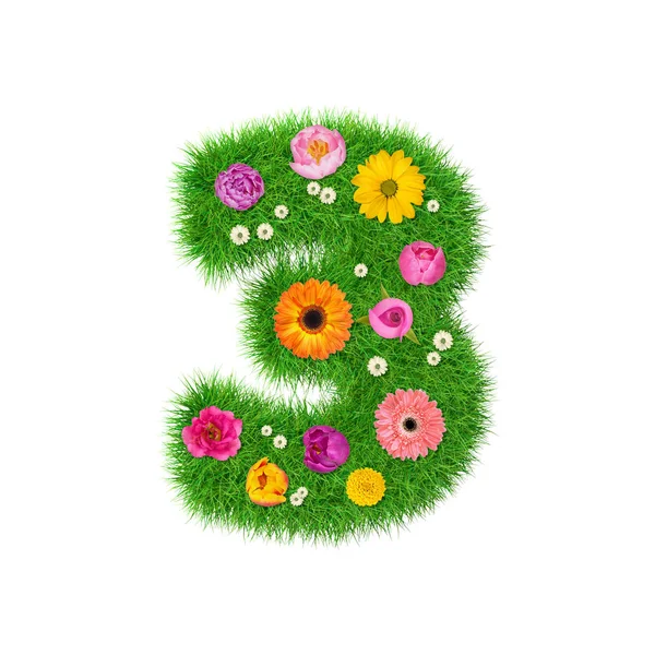 Nr 3 z trawy i kolorowe kwiaty — Zdjęcie stockowe