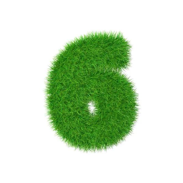 Number made of grass 6 isolated on white, 3d illustration — Stock Photo, Image