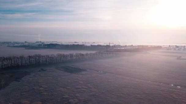 Vuelo sobre el campo en la niebla, fría mañana helada — Vídeo de stock