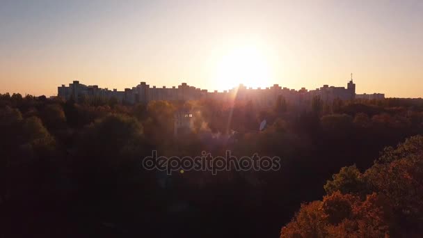 Volo sopra una piccola casa nella foresta, autunno . — Video Stock