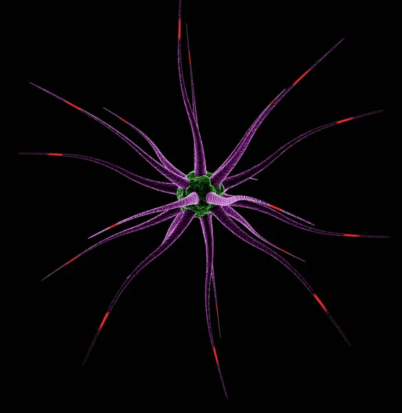 Neurális sejtek, sejt, élő szervezet, a neuron, a 3d render — Stock Fotó