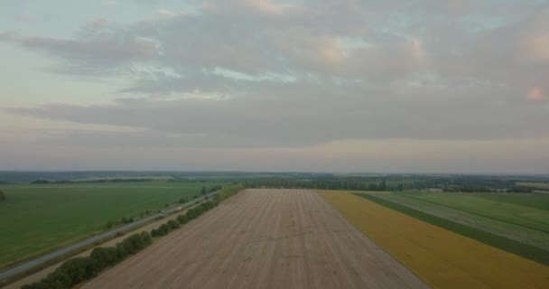 Let Nad Zemědělských Polí Brzy Ráno — Stock video