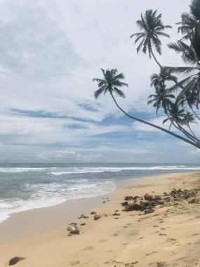 Palm Beach 'ten okyanus manzarası.