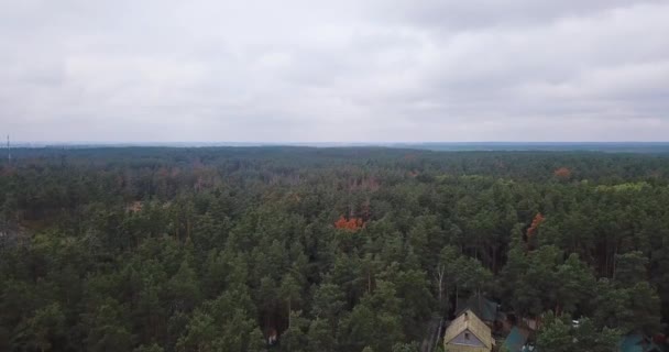Vista Aérea Sobrevoando Casas Com Vista Para Uma Vasta Floresta — Vídeo de Stock