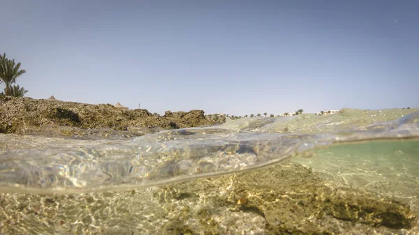 Вид Пляж Фоне Пальм Дна Моря Подводные Фотографии — стоковое фото