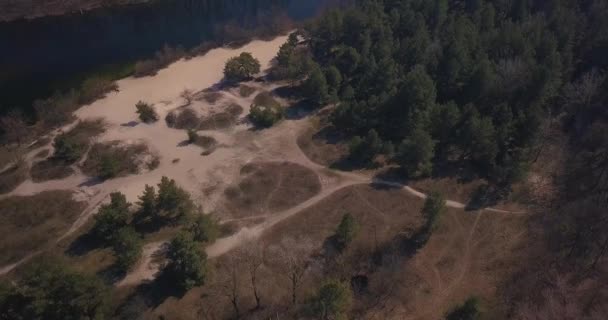 Drohne Fliegt Über Den Wald Fluss Und Wird Der Nähe — Stockvideo
