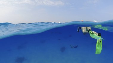 Açık okyanusta bir grup turist, tüplü dalış, resifteki yunus ailesine gezi, sualtı bölünmüş fotoğraf.