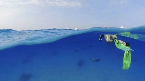 Группа Туристов Открытом Океане Подводное Плавание Экскурсия Семье Дельфинов Рифе — стоковое фото