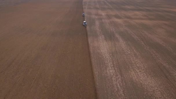 在村庄的背景下 在一块田里 在两辆拖拉机后面飞来飞去 一起犁地 — 图库视频影像