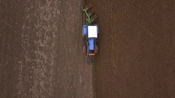 Bovenaanzicht Het Volgen Van Een Blauwe Trekker Ploegen Veld Verplaatsen — Stockvideo