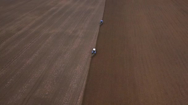 在村庄的背景下 在一块田里 在两辆拖拉机后面飞来飞去 一起犁地 — 图库视频影像